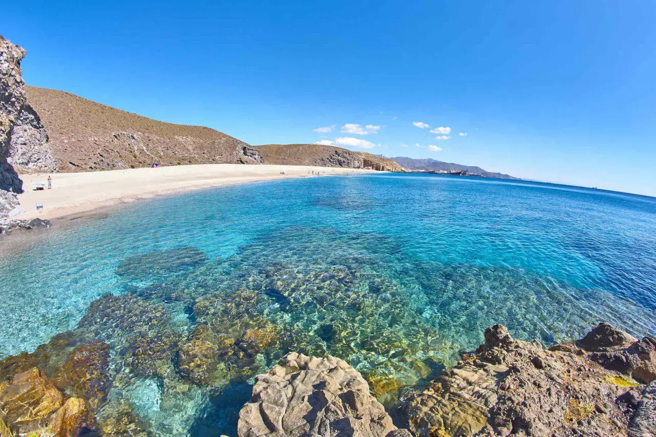 Sunshine Red Rose Property Spain